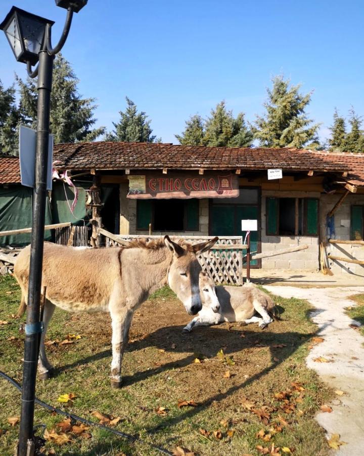 Hotel Etno Selo Timcevski Vojnik Екстер'єр фото